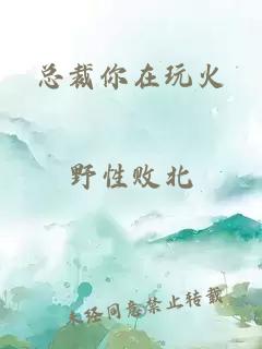 总裁你在玩火