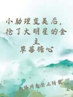 小助理变美后，抢了大明星的金主